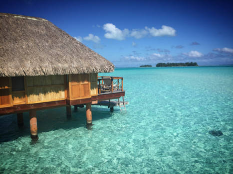 Frans-Polynesië - Bora bora, meneer de rog wou ook op de foto!