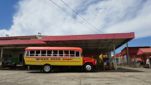 Samoa - Local transport