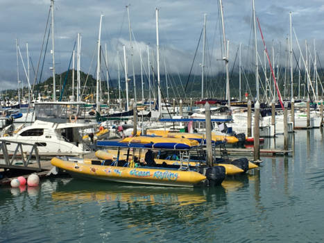 Whitsundays - Oceanrafting boot