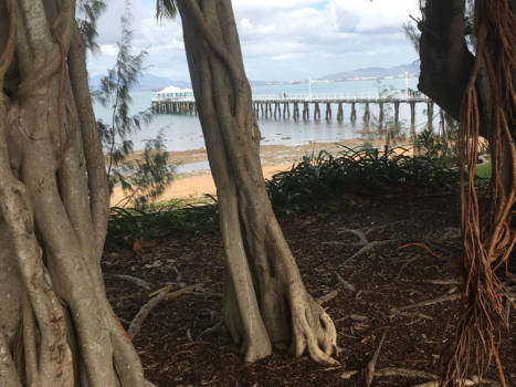 K'Gari (voorheen Fraser Island) - Magnetic @Picnic Bay Queensland