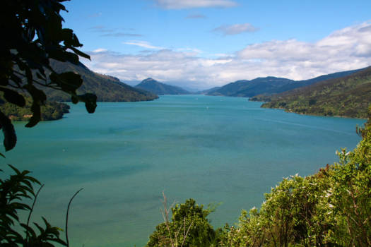 Marlborough Sounds - Doorkijkje over de Sounds op het Zuidereiland