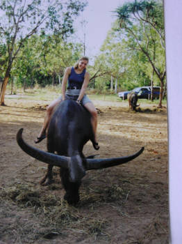 The Kimberley - Adriana on Charlie's back at Adelaide River, Northern Territory Australia.