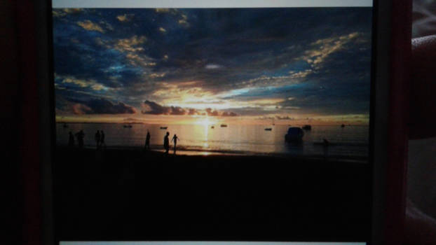 Fiji - Nature's creatures