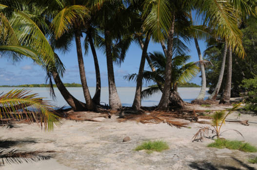 Frans-Polynesië - Blue Lagoon, Bounty-strandje nabij Rangiroa