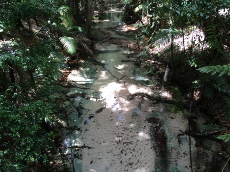 K'Gari (voorheen Fraser Island) - Fraser Island