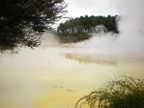 Rotorua - kleurrijke natuur