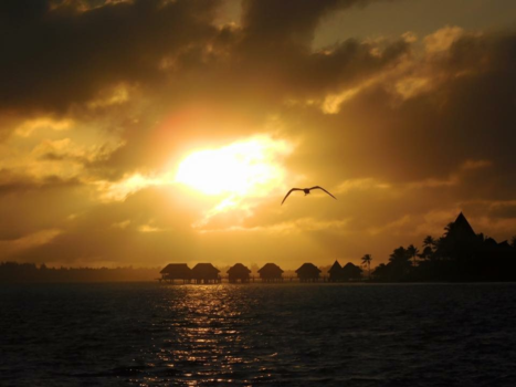 Bora Bora en de Society-archipel - Sunrise in bora bora