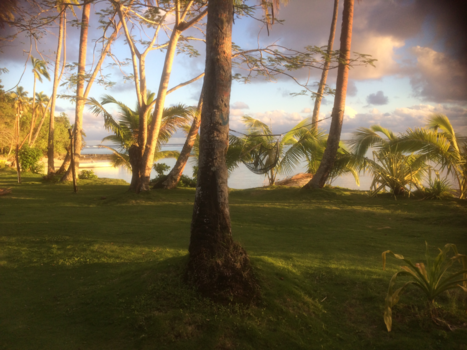 Fiji - Room with a view