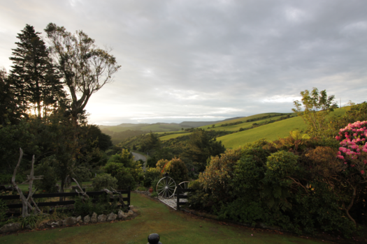 Tongariro National Park - Avond in de Catlins