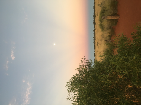 Uluru (Ayers Rock) - Perfecte zonsondergang