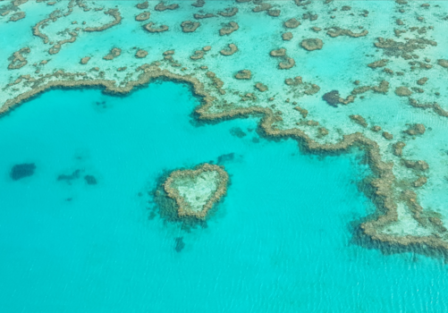 Whitsundays - Heart reef