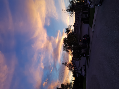 Tahiti - Beautiful glendora ca