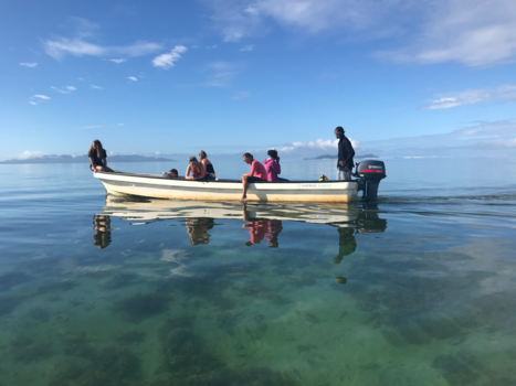 Fiji - Shark tagging on Beqa Lagoon