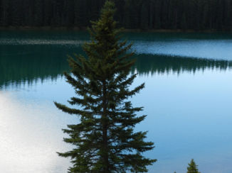 ANWB Vakantie - Famous red deck chairs
