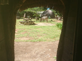 ANWB Vakantie - Beehives Swaziland