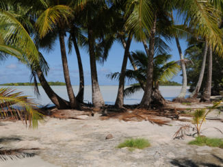Frans-Polynesië - Blue Lagoon, Bounty-strandje nabij Rangiroa