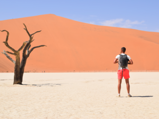 Djoser - Surrealisme