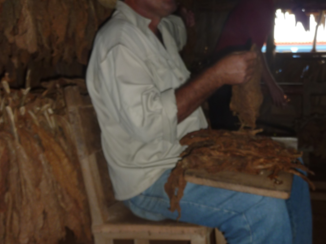 Djoser - Sigaren maken