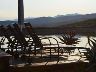 Tui - Oudtshoorn's Buffelsdrift