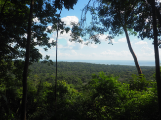 Djoser - Uitzicht over de Amazone