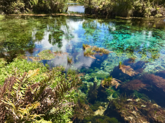 Travel Essence - Pupu springs