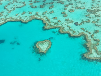 Whitsundays - Heart reef