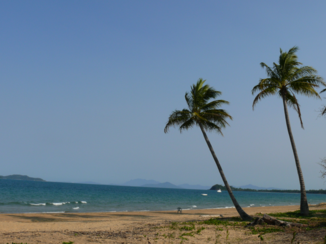 Riksja Australie - Mission Beach 2013