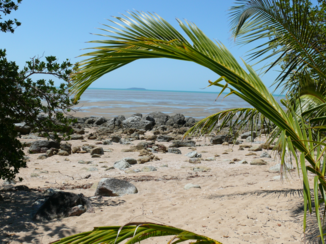 Riksja Australie - Kinka Beach 2013